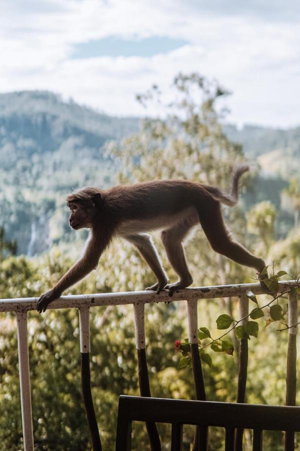 Serenite Ella Esterno foto